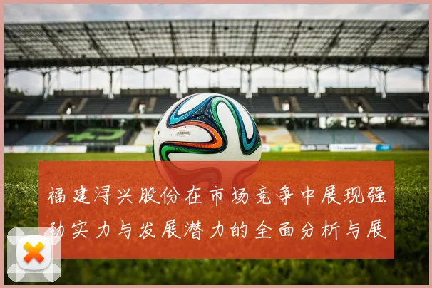 福建浔兴股份在市场竞争中展现强劲实力与发展潜力的全面分析与展望