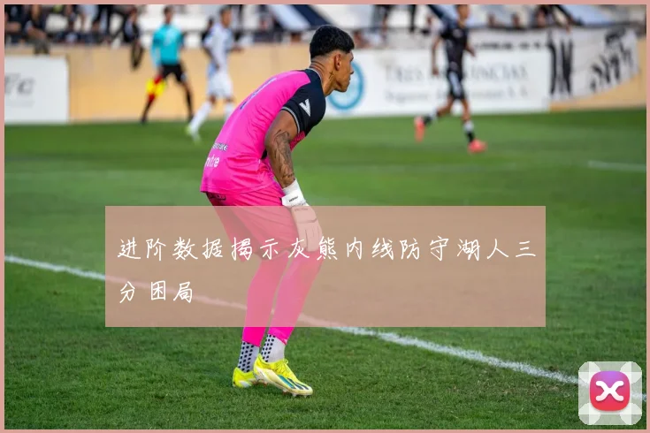 进阶数据揭示灰熊内线防守湖人三分困局