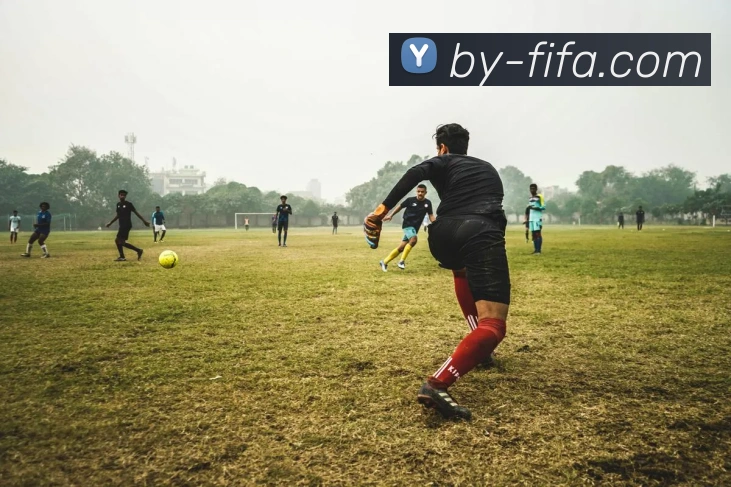 世界杯FIFAAPP 高清赛事图